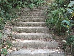 -黄埔油麻山森林公园