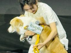-首都电影院(西单店 LED巨幕)