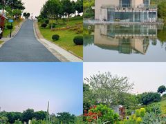 -东莞植物园