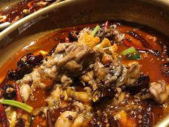 麻辣牛蛙锅-虾满堂(瑞虹店)