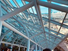 -木乃伊复仇过山车