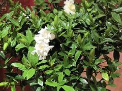 -赶海儿海鲜镖局·平价海鲜小馆(金沙滩店)