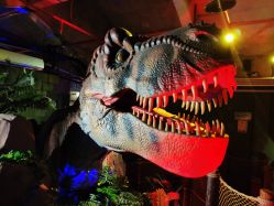 -恐龙探索乐园(磁器口店)