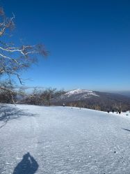 -大秃顶子山