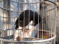 -伊隆斋(什刹海店)