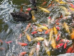 -扬州瘦西湖温泉