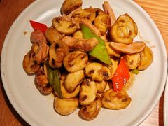 -波螺油子·海肠捞饭·青岛菜(银座店)