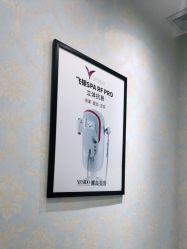 -YESIDO椰岛造型