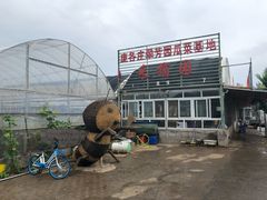 门面-庞各庄翠芳园西瓜蔬菜基地采摘园