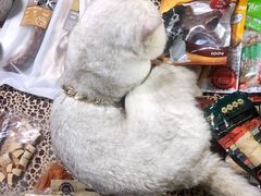 -吴山路夜市