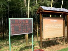 -陶祖圣境风景区