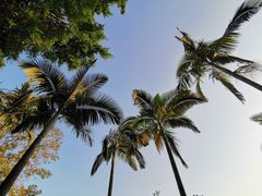 -船政文化景区-罗星塔公园