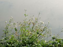 景点-茂德公草堂