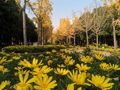 -苏州河梦清园环保主题公园