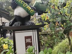 -阿巧茶庄
