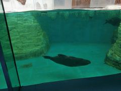 景点-秦皇岛乐岛海洋王国