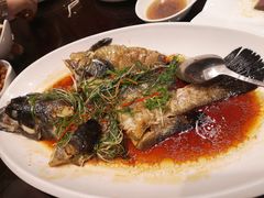 青斑鱼-韩山苑·潮州美食·私房菜(天安数码时代大厦店)