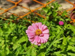 -杜氏旅游度假区