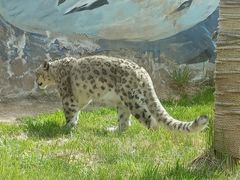 -青藏高原野生动物园
