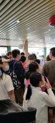 -小蜜蜂农场(凯德七宝购物广场店)