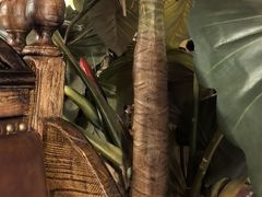 -凯撒城堡西餐厅(颐和国际店)