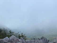 -朱雀国家森林公园