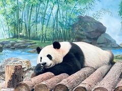 -杭州动物园