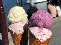 -Patagonia Chocolates(皇后镇店)