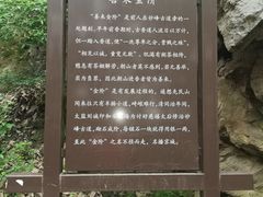 -阳台山自然风景区