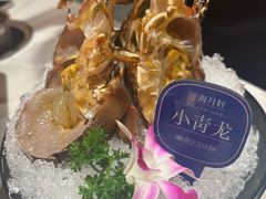 -海月轩海鲜豆捞(紫金塔店)