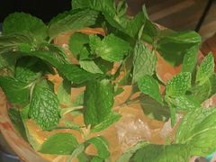 -探鱼·鲜青椒爽麻烤鱼(虎门天虹店)