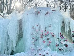 -洛阳白云山景区