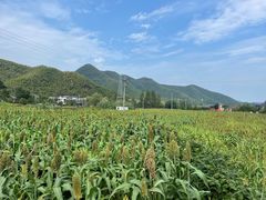 -食光慢宴·安吉土菜馆