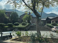 -千岛湖石林