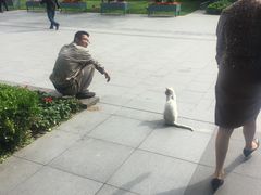 -自然博物馆(地铁站)