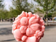 -上海辰山植物园