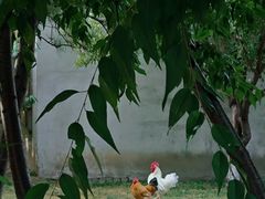 -三里河公园