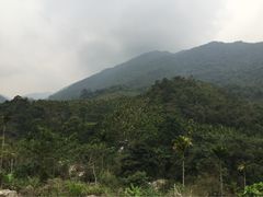 吊罗山国家森林公园-海南热带雨林国家公园吊罗山景区