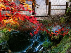 -九如山休闲旅游度假区
