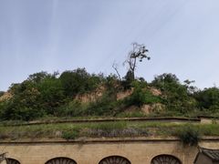 -延安杨家岭革命旧址