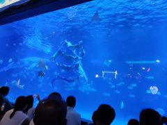 -烟台海昌鲸鲨海洋公园