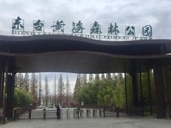 -黄海国家森林公园