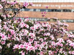 -香港理工大学