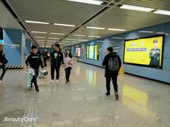 -大龙山(地铁站)