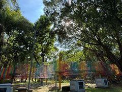 -东南花都花博园