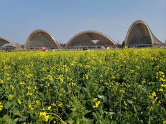 -中国天府农业博览园