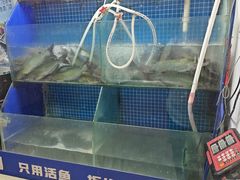 -鱼酷活鱼烤鱼(信息城店)