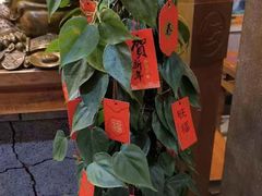 -巴倒烫陆派火锅山庄(南山总店)