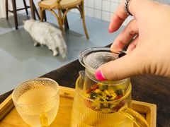 -猫友咖啡店(玉林西路店)