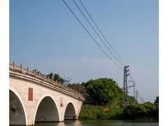 -大湾区中央湿地公园